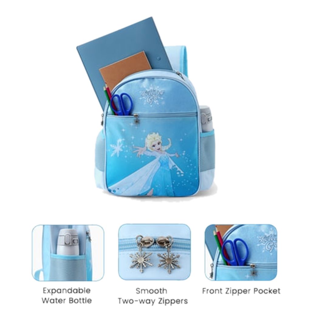 Disney Frozen Elsa Toddler Girl